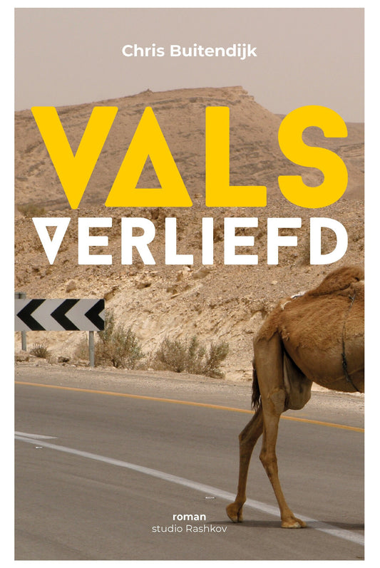 Vals verliefd: een explosieve roman over illusies in Israël