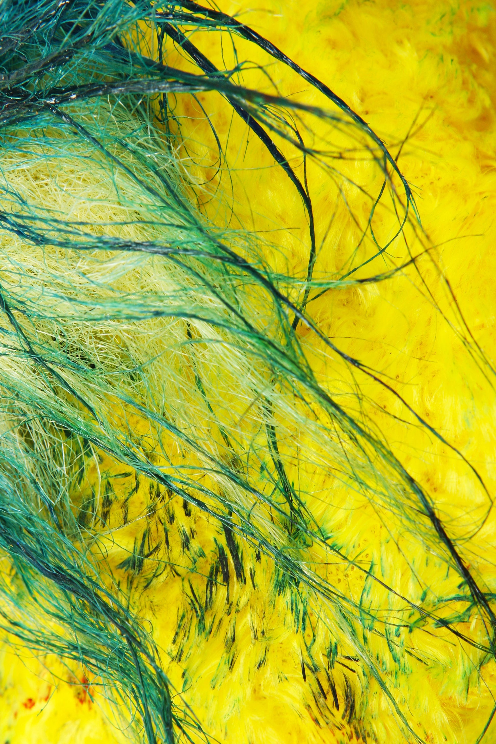 Artprint 'Wild Life 6'